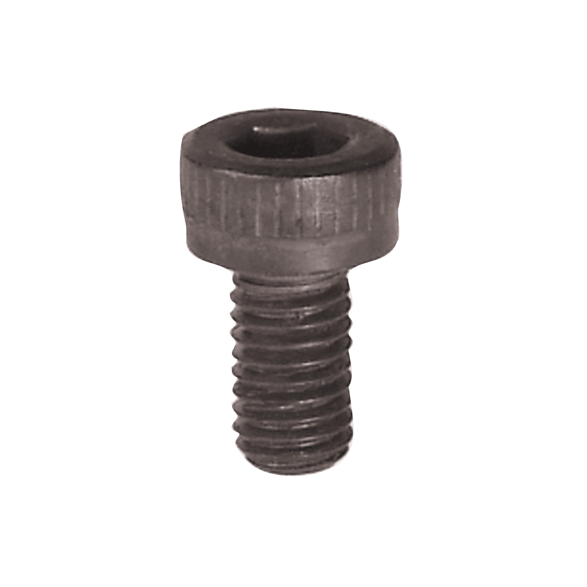 Cap Screw - AAA Industrial Supply