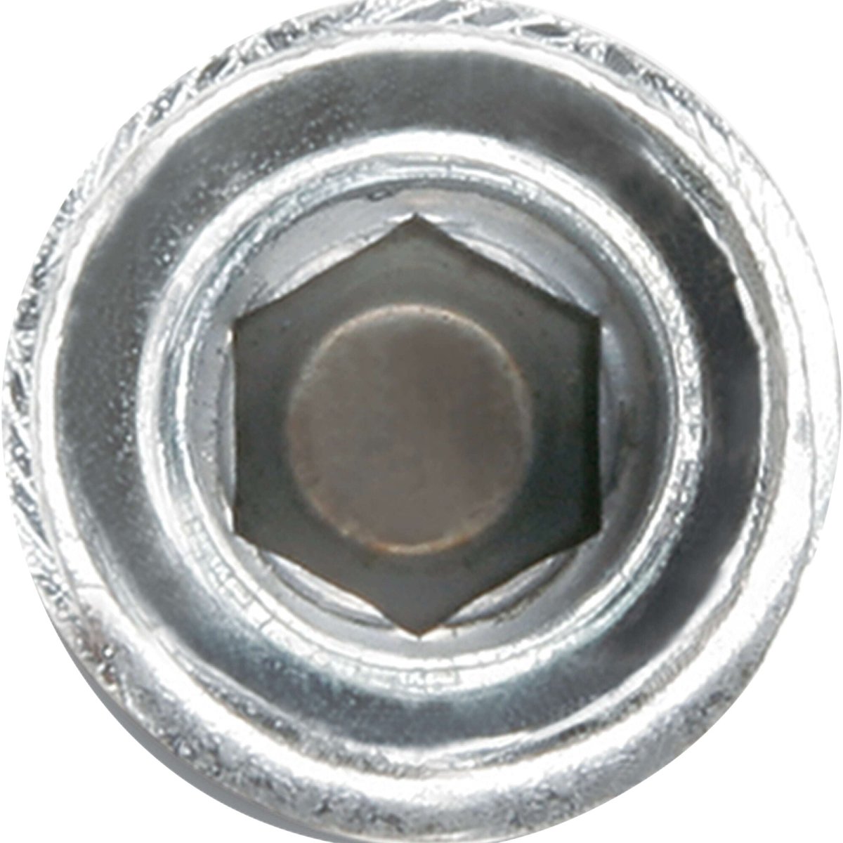 Dewalt Snakeplus 3/8" Internal Thread - AAA Industrial Supply