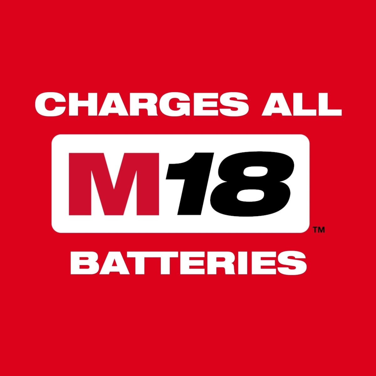 M18™ Dual Bay Simultaneous Super Charger w/ 4 Point Mounting - AAA Industrial Supply