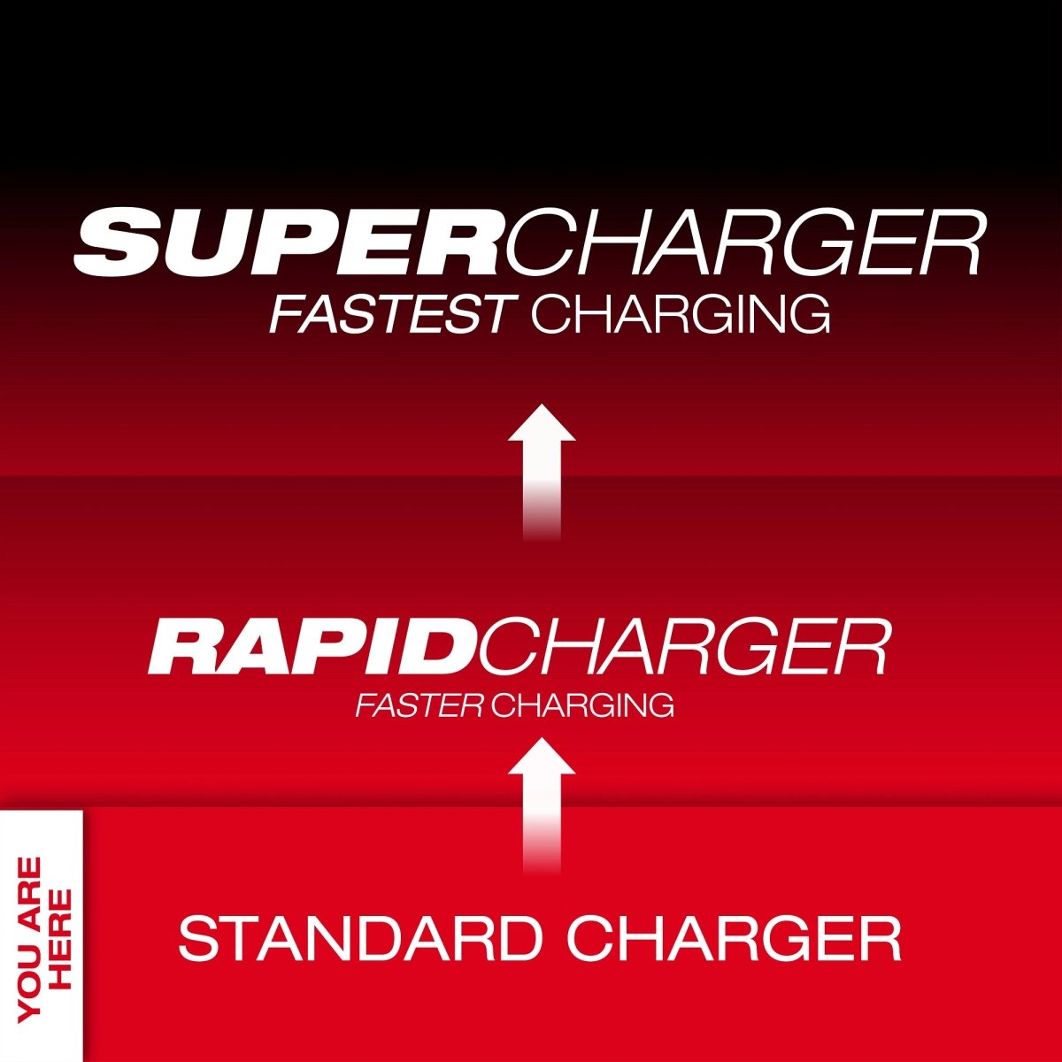 M18™ / M12™ Vehicle Charger - AAA Industrial Supply