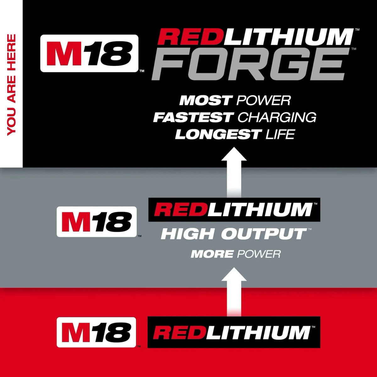 M18™ REDLITHIUM™ FORGE™ HD12.0 Battery (10 Pk) - AAA Industrial Supply